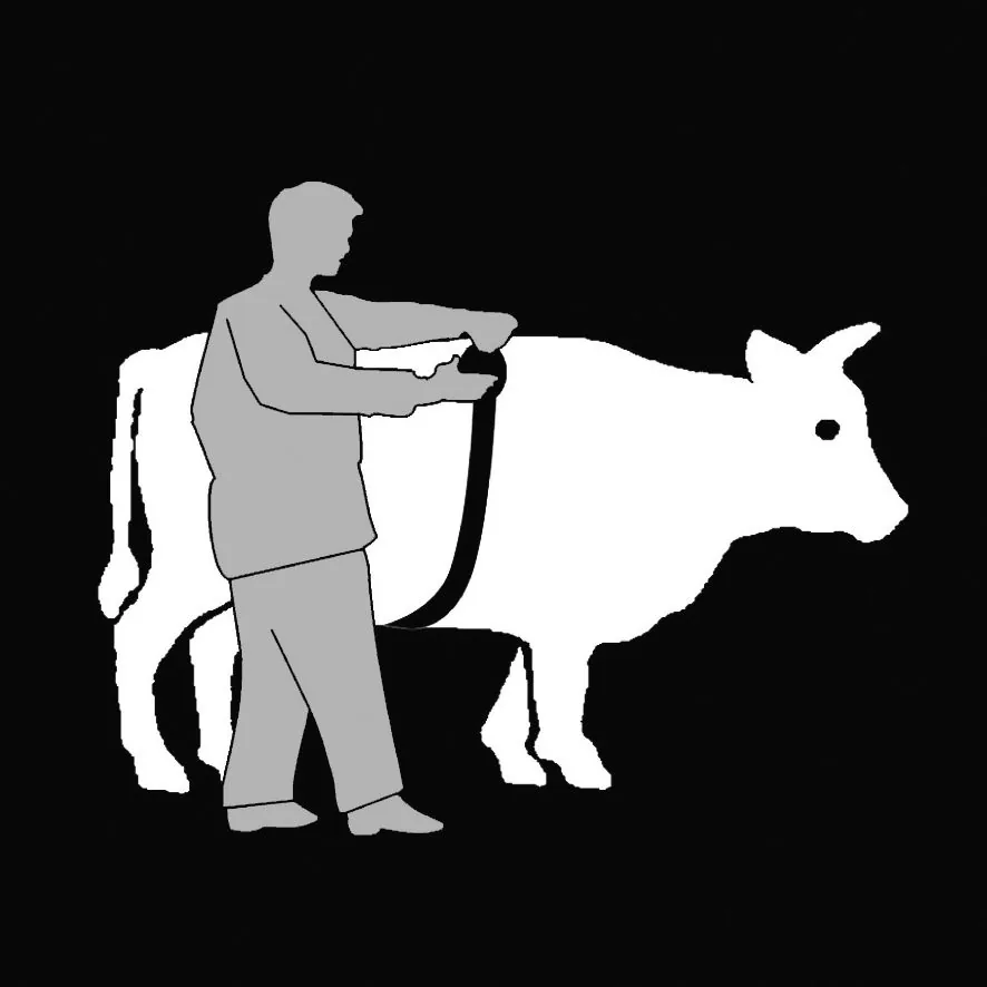 Silhouetten-Grafik: Person misst ein Rind mit dem Kerbl Animeter