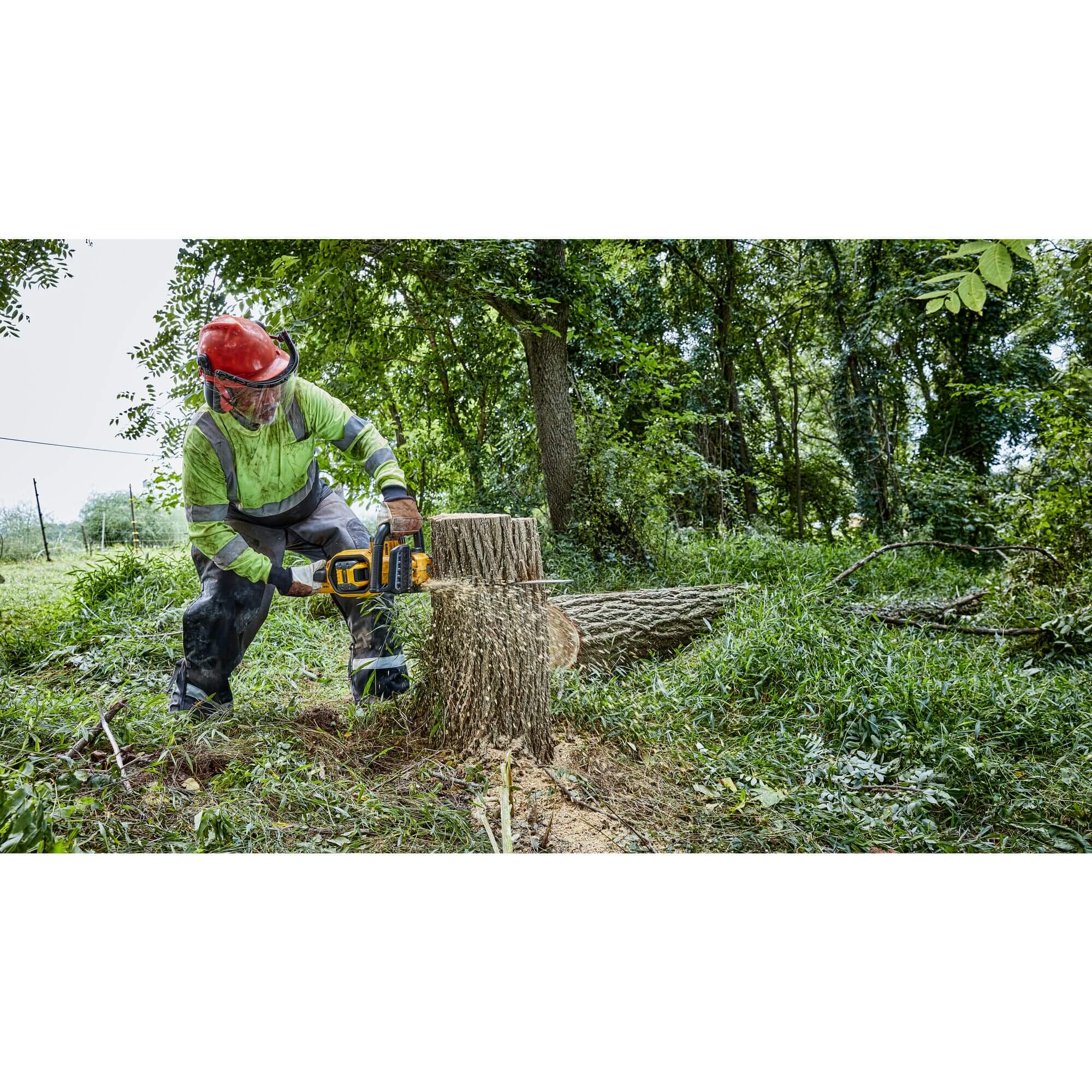 Mann fällt mit der DeWalt DCMCS574N FLEXVOLT Akku-Kettensäge einen Baumstumpf im Wald