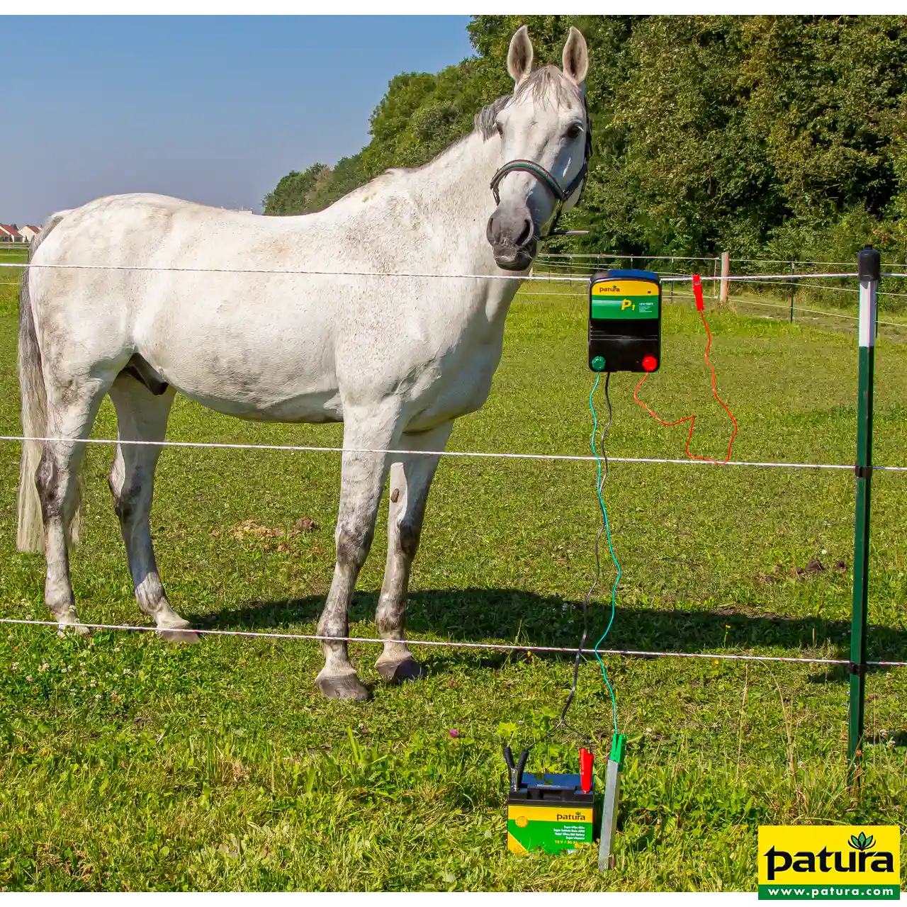 Weißes Pferd am Weidezaun mit angeschlossenem Patura Kombigerät am Boden