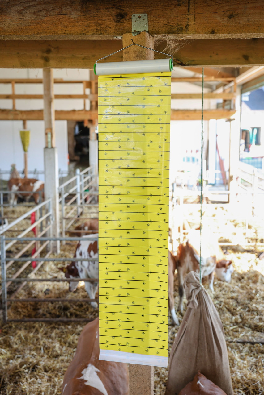 Stall-Fliegenrolle mit Halter von Kerbl,7 Meter Länge zur effektiven Insektenbekämpfung für Landwirte und Tierhalter.