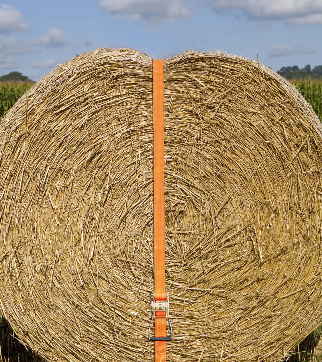 KERBL Ratschenzurrgurt 2-teilig,50 mm,15 m - für Landwirte und Tierhalter,ideal zur Ladungssicherung mit einer zulässigen Zugkraft von 4000 kg.