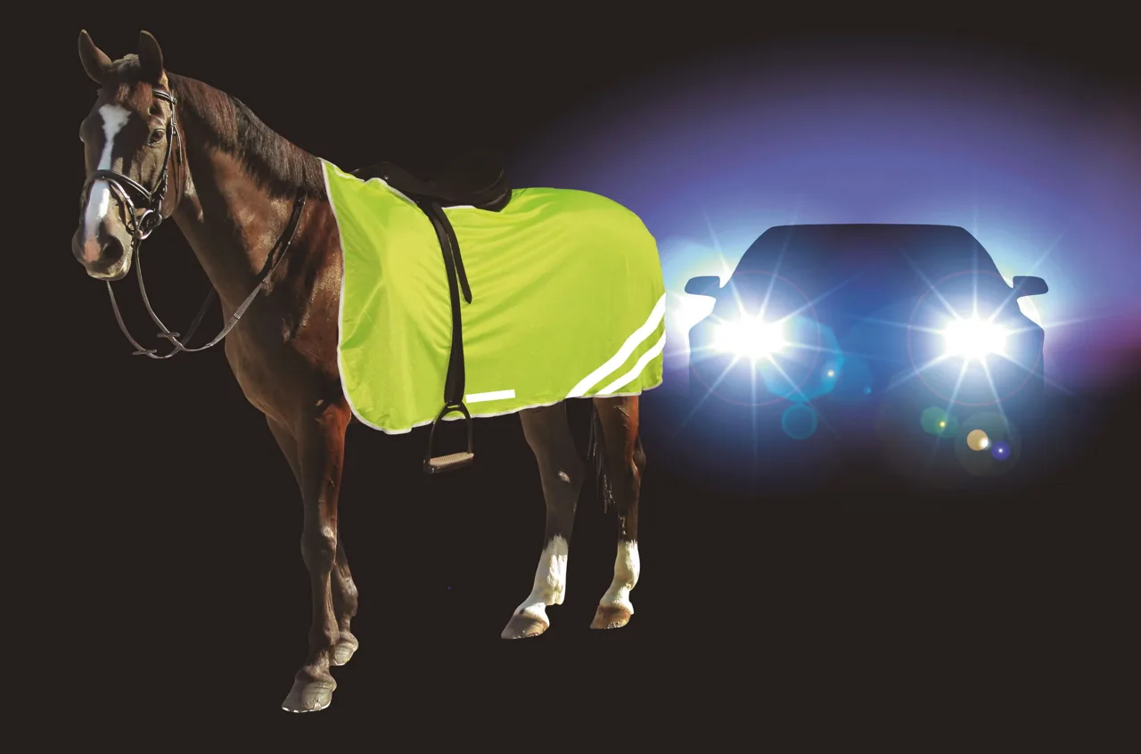 Pferd mit gelber reflektierender Sicherheitsdecke vor Auto-Scheinwerfern bei Nacht
