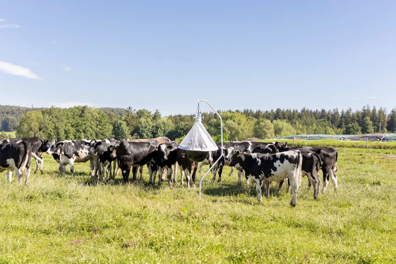 Kerbl Bremsenfalle TaonX, Produktbild