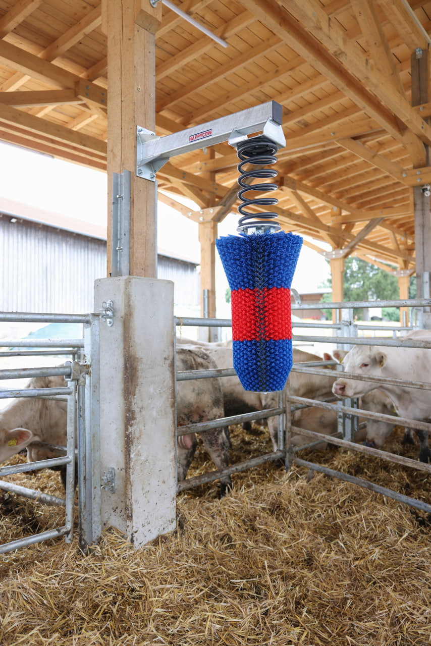 Kerbl HAPPYCOW FlexiSwing Viehbürste – Pendelbürste für Rinder und Pferde zur Fellpflege und Beschäftigung Kerbl HAPPYCOW FlexiSwing Viehbürste – Pendelbürste für Rinder und Pferde zur Fellpflege und Beschäftigung