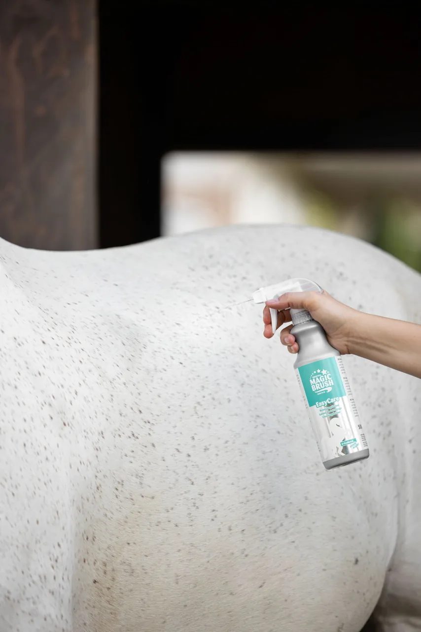 Schimmel wird mit Magic-Brush-Trockenpflege-Spray an der Hinterhand eingesprüht, Stallhintergrund
