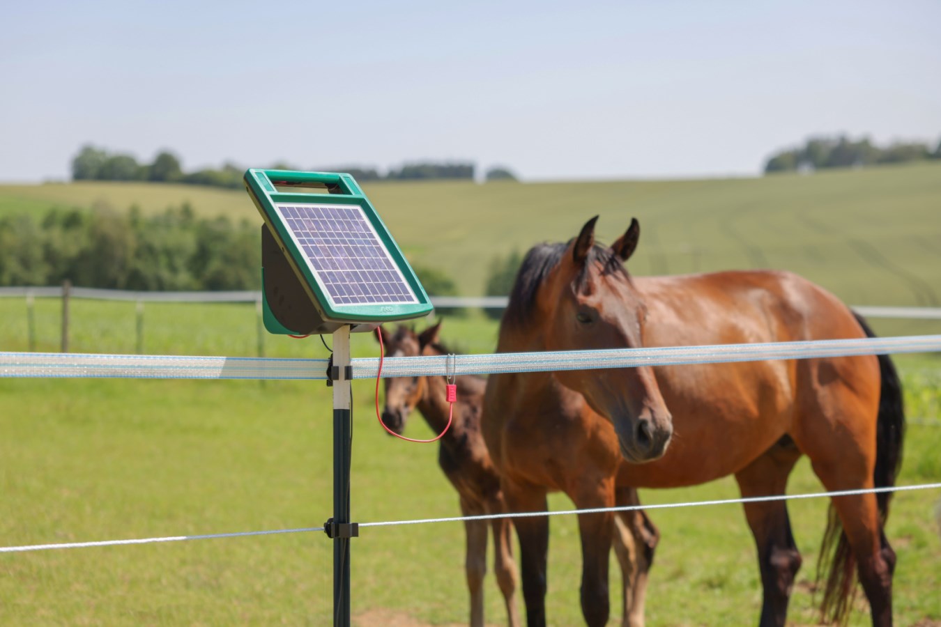Effizientes Solargerät für Weidezäune - AKO SunPower S1000: Zuverlässige Tierbegrenzung für Landwirte und Tierhalter