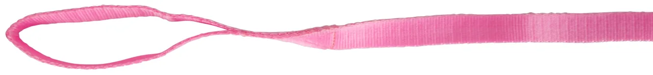 Pinke Nylon-Führleine mit Handschlaufe, freigestellt