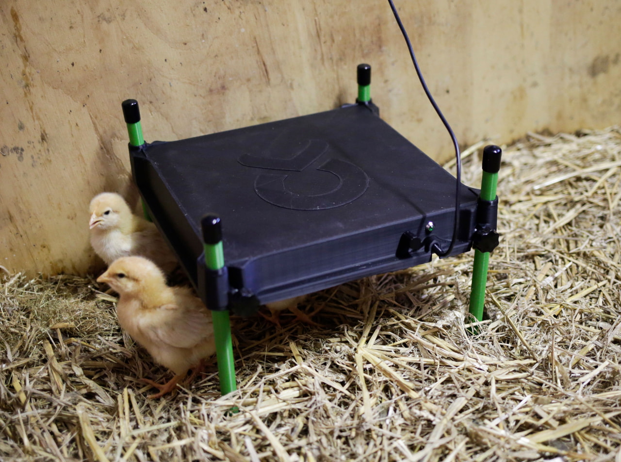 Kerbl Wärmeplatte CosyHeat 30x30 cm - Energiesparende Heizung für Küken, mit integriertem Thermostat, ideal für Landwirte und Tierhalter.