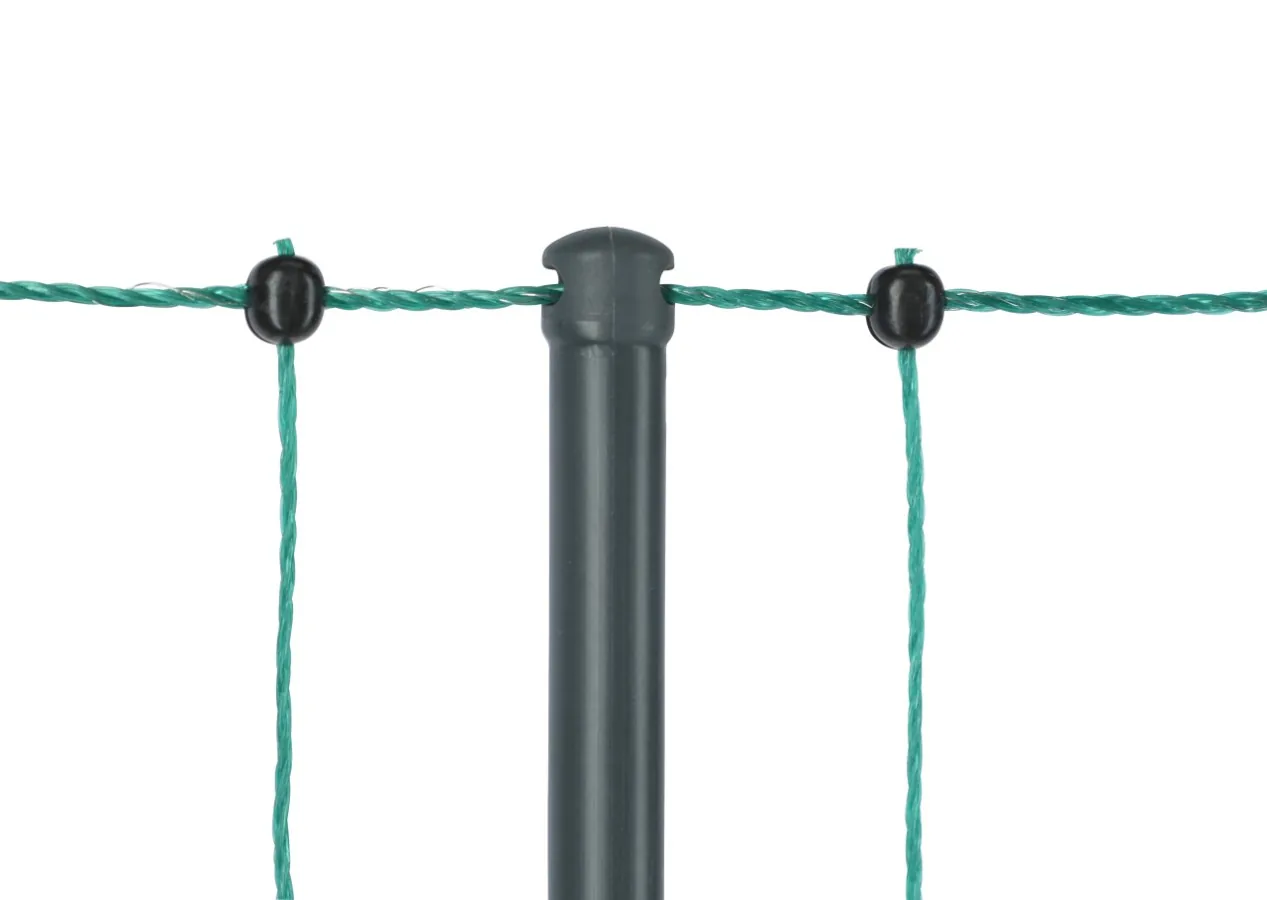 Grüner Pfosten mit Netz des AKO-Geflügelnetzes, Detail