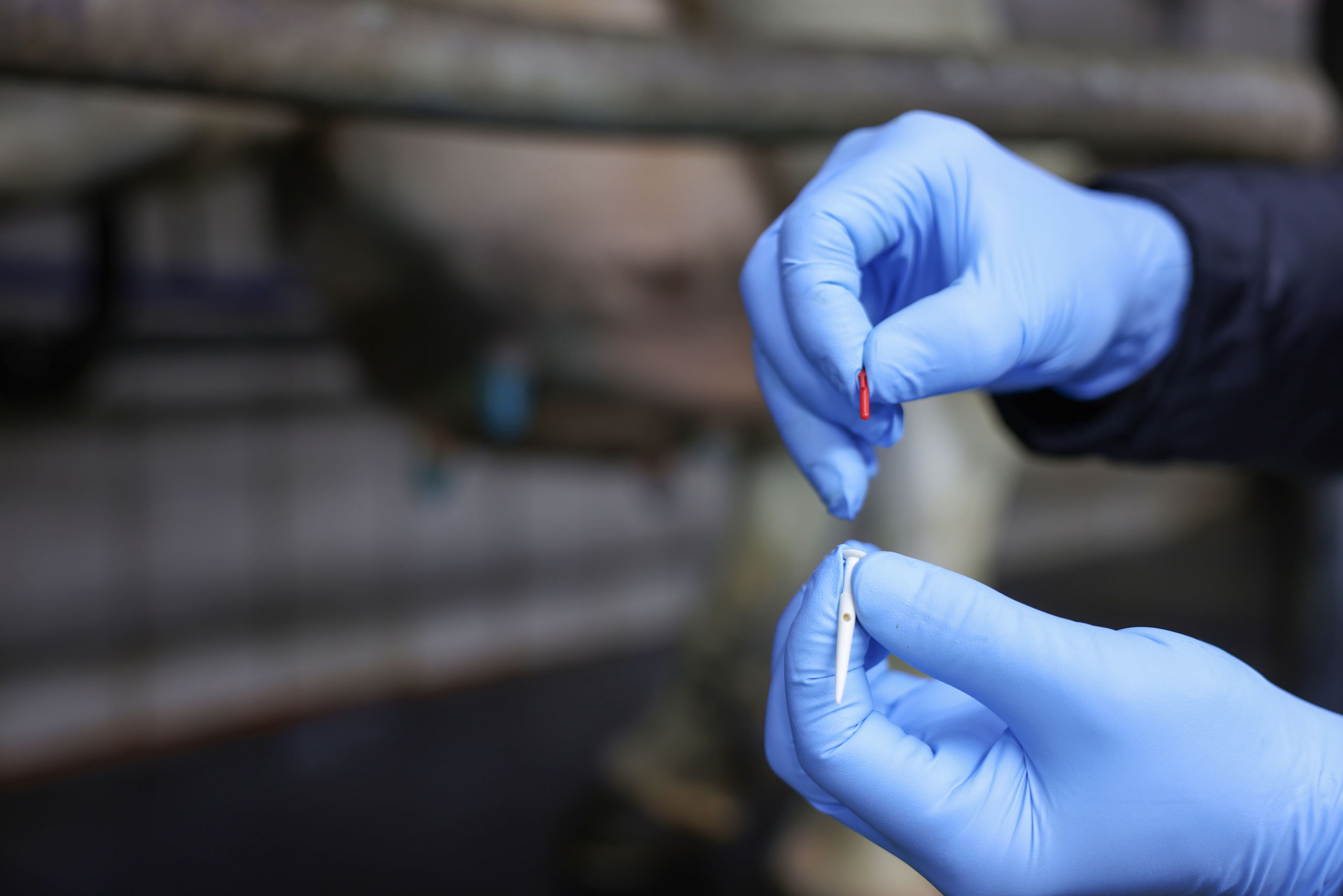 Kerbl Zitzenkanülen 1537, 10 Stück, 4, 5 cm - Robust für Tiergesundheit, ideal für Landwirte und Tierhalter bei Zitzenverletzungen oder Milchabgabeüberprüfung. Kerbl Zitzenkanülen 1537, 10 Stück, 4, 5 cm - Robust für Tiergesundheit, ideal für Landwirte und Tierhalter bei Zitzenverletzungen oder Milchabgabeüberprüfung.