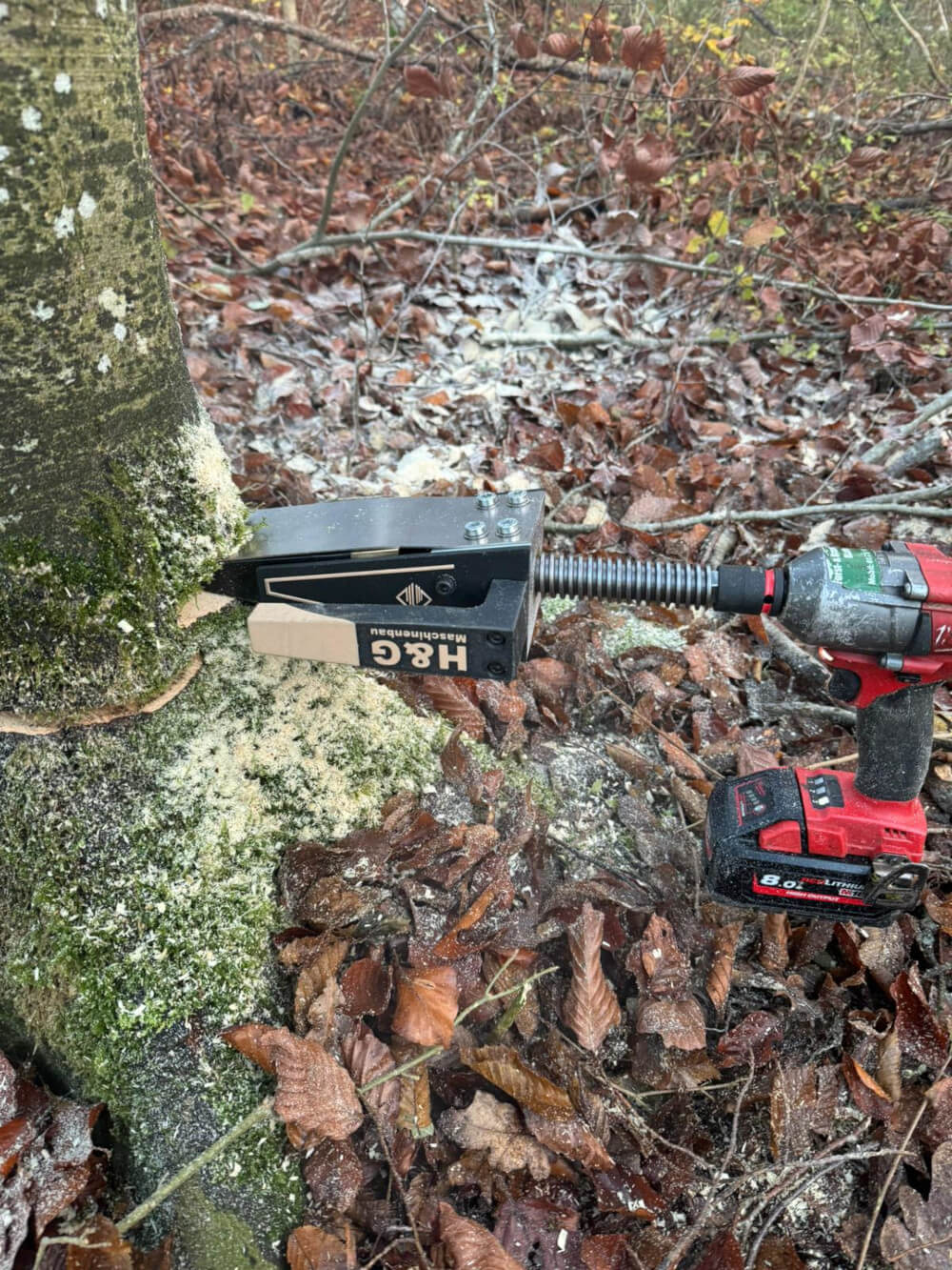 H&G X6030 Forstkeil wird mit Milwaukee Akku-Schlagschrauber in den Baum getrieben