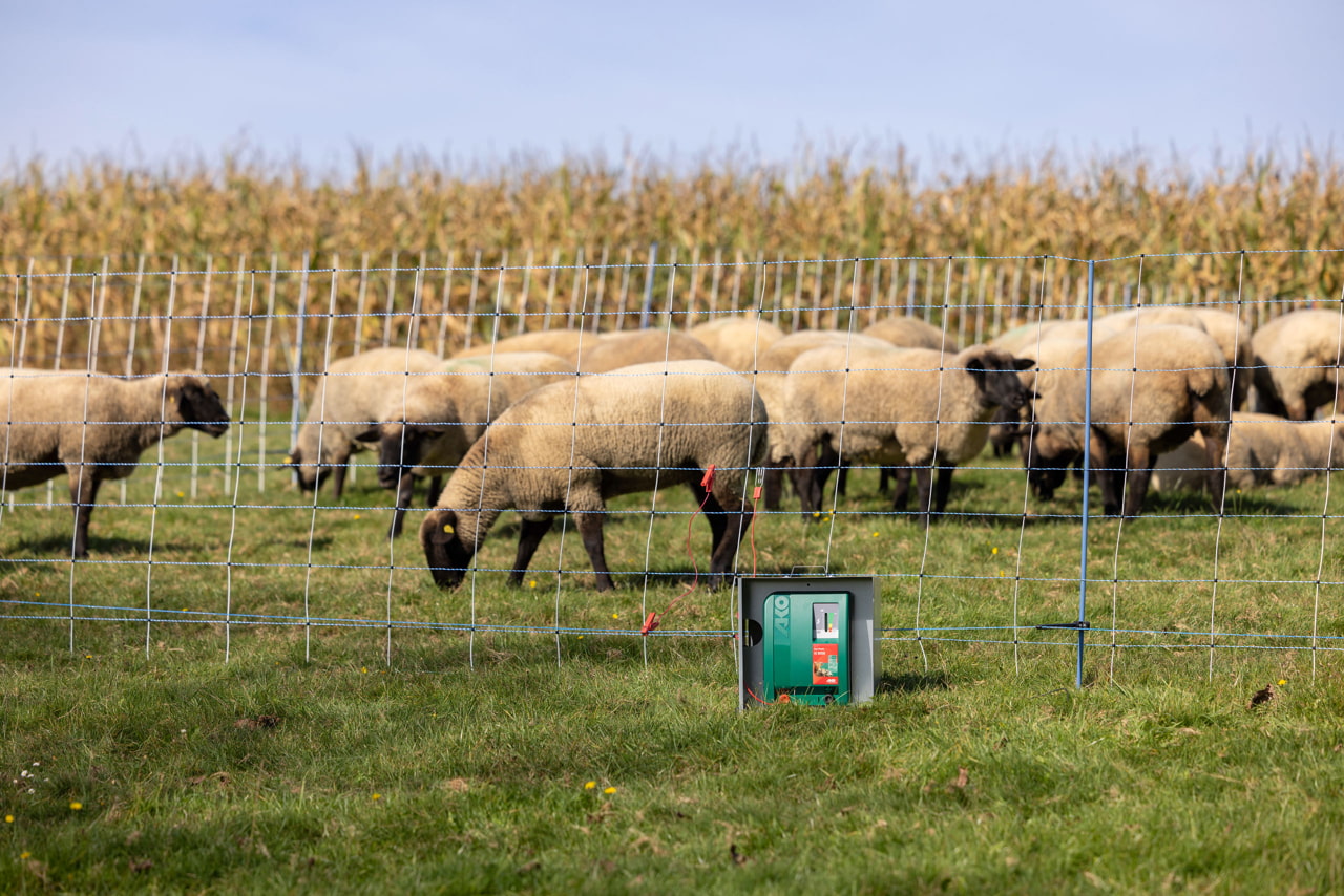 AKO Duo Power Xi 8000 Weidezaungerät von Kerbl - Leistungsstarkes und flexibles Zaungerät für Landwirte und Tierhalter, ideal für die extensive Weideüberwachung von Pferden, Bullen und Schafen sowie zur Wildschwein- und Wolfsabwehr.