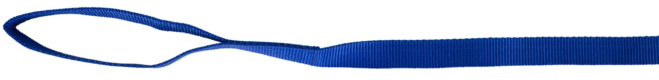 Blaue Nylon-Führleine mit Handschlaufe, freigestellt
