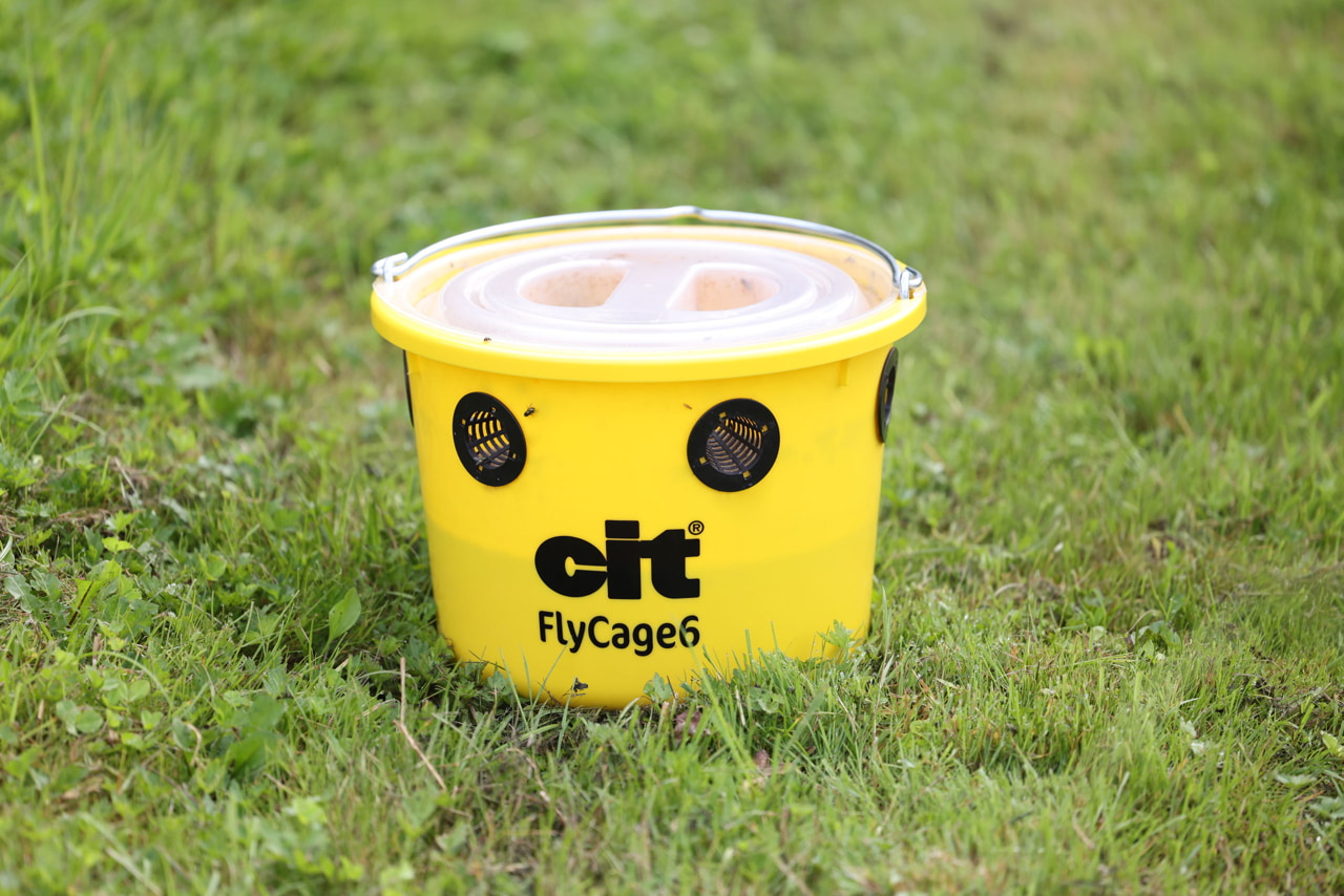 cit Fliegenfalle FlyCage6