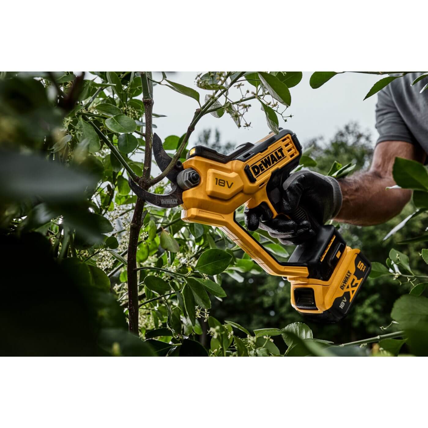 DeWalt DCMPP568N 18V XR Akku-Astschere – Präzises und ergonomisches Schneiden für professionelle Gartenarbeit DeWalt DCMPP568N 18V XR Akku-Astschere – Präzises und ergonomisches Schneiden für professionelle Gartenarbeit