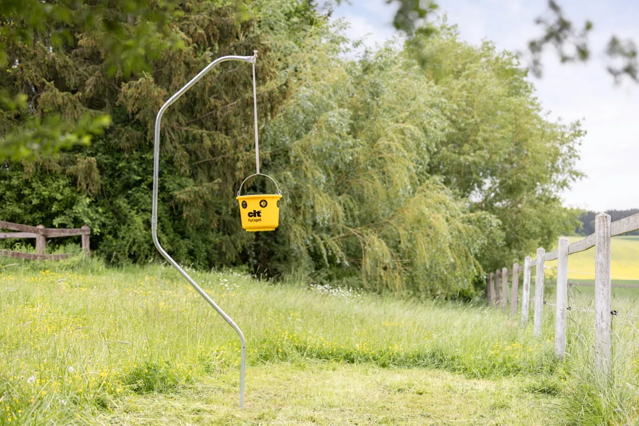 cit FlyCage6 Fliegenfalle hängend an einem Ständer auf der Weide