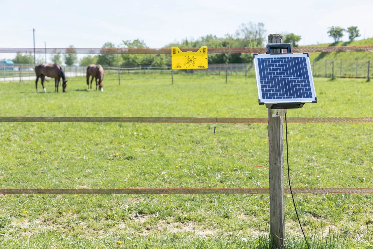 Kerbl Sun Power S 1500 Solargerät auf Zaunpfosten, zwei grasende Pferde im Hintergrund
