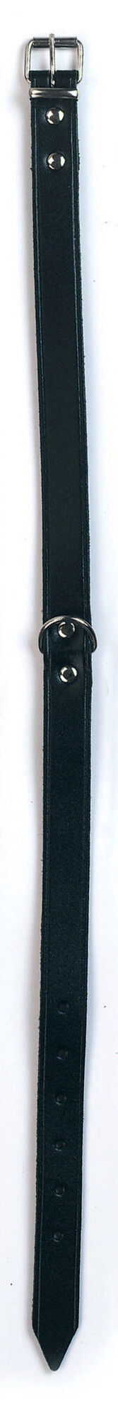Kerbl MEXICA Halsband - Robustes Lederhalsband für Hunde und Tiere, ideal für Tierhalter und Landwirte. Kerbl MEXICA Halsband - Robustes Lederhalsband für Hunde und Tiere, ideal für Tierhalter und Landwirte.