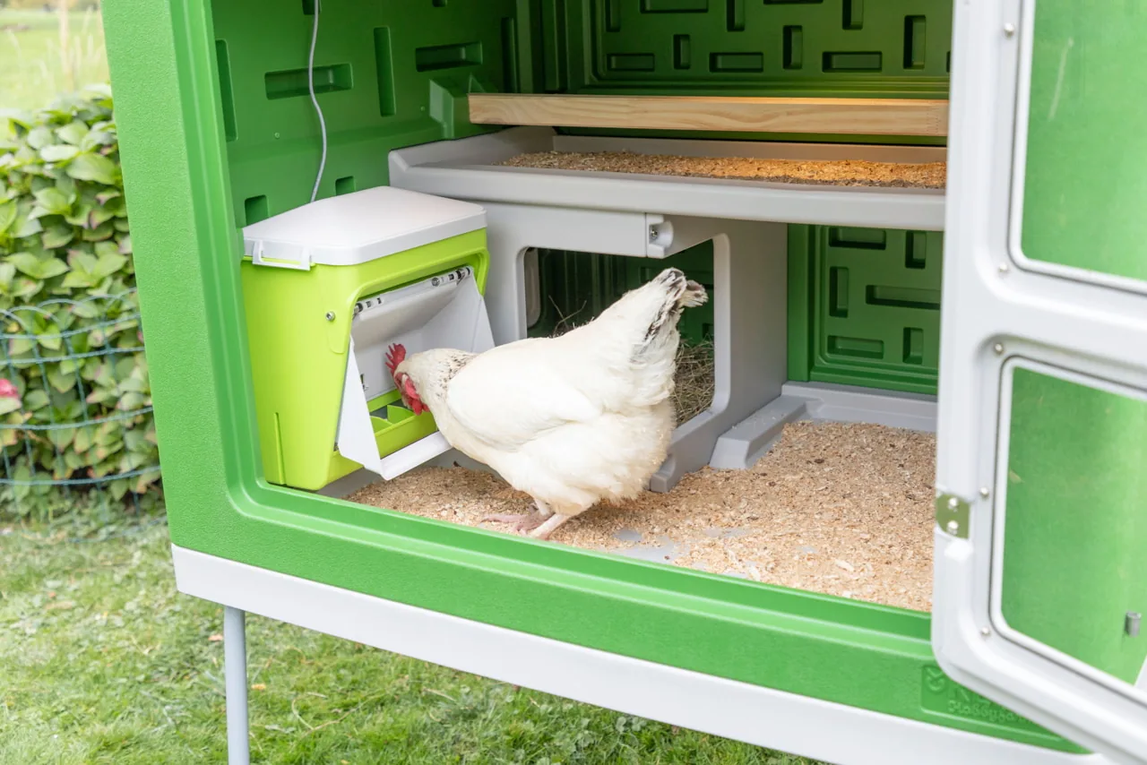 Weißes Huhn frisst am Kerbl SmartCoop Futterautomat im Inneren des Stalls
