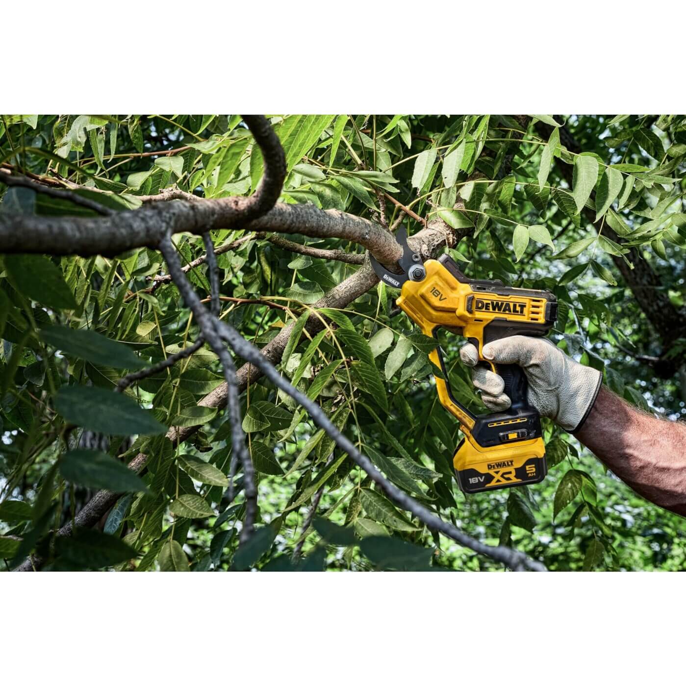 DeWalt DCMPP568N Akku-Astschere schneidet einen Ast im Baum (Handschuh)