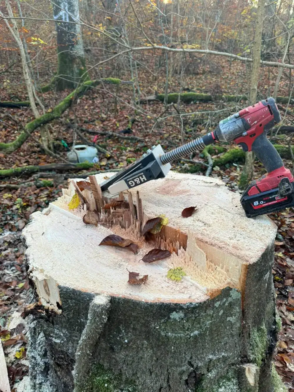 Draufsicht auf den mechanischen Fällkeil X6030 im Holzeinsatz