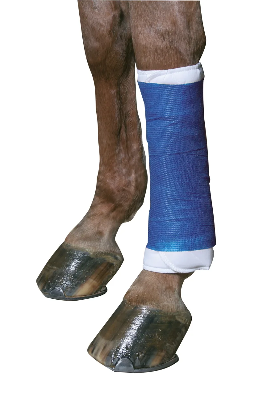 Pferdebein mit blauer Kerbl EquiLastic Bandage