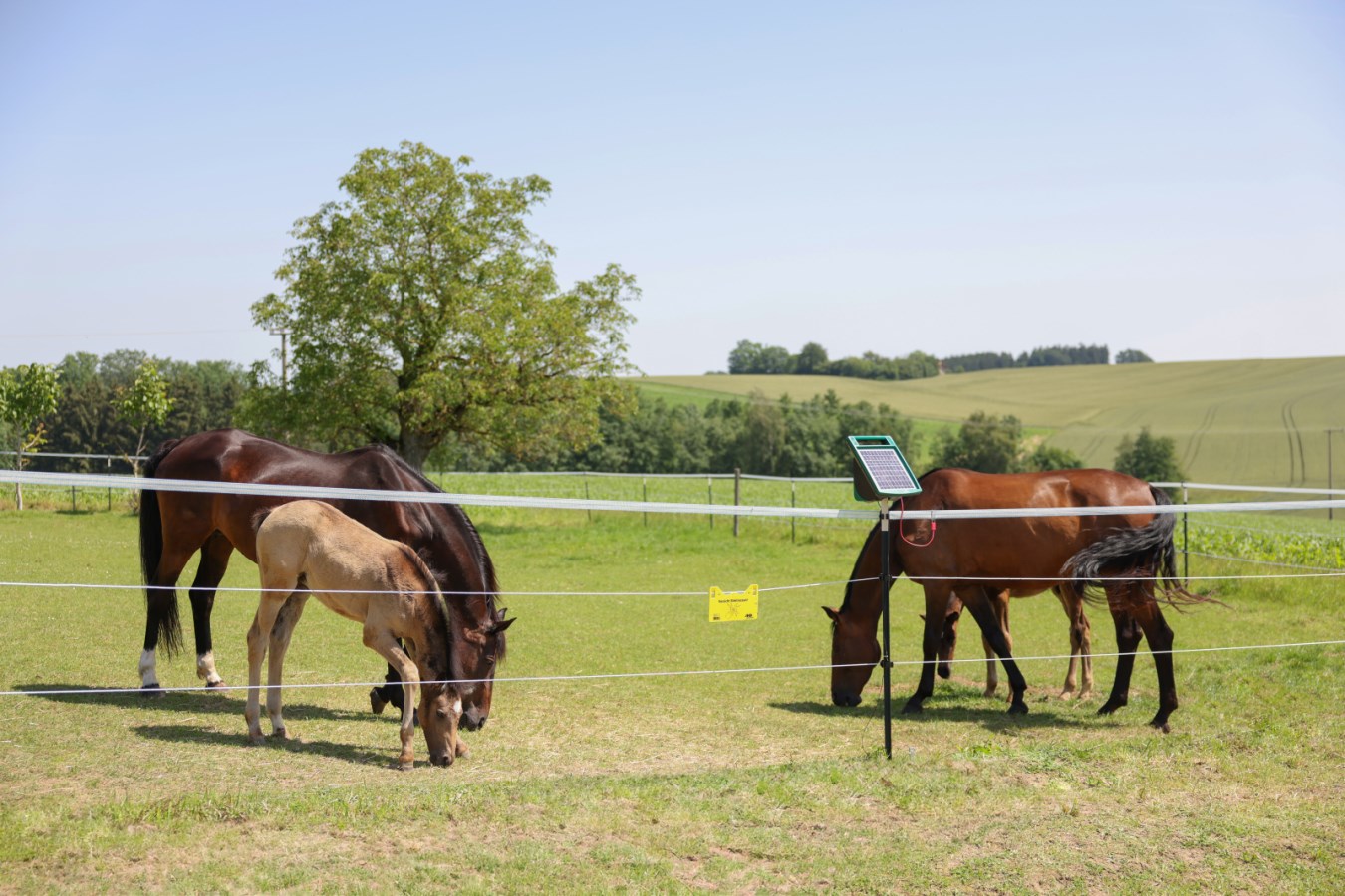 Effizientes Solargerät für Weidezäune - AKO SunPower S1000: Zuverlässige Tierbegrenzung für Landwirte und Tierhalter