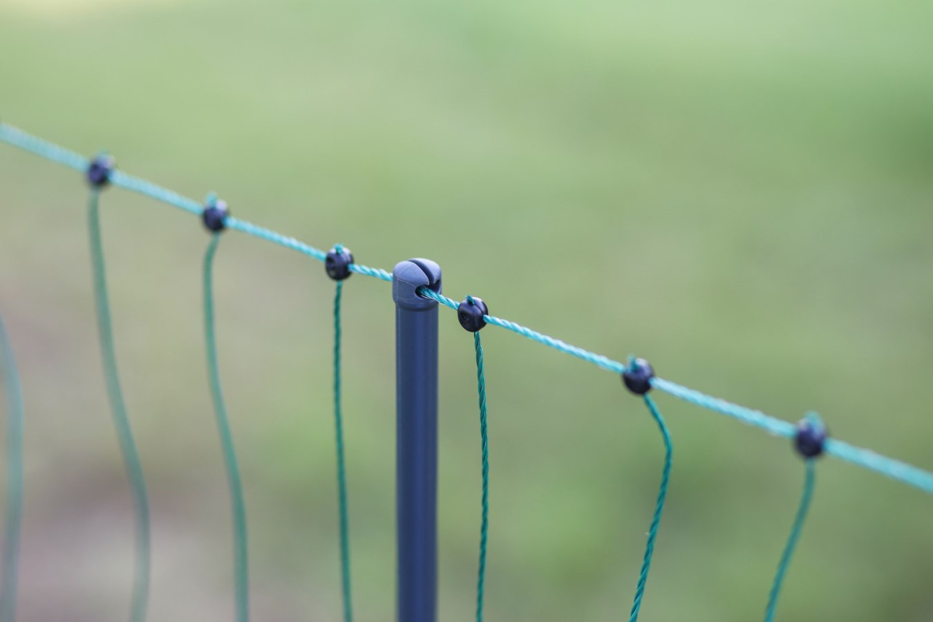 AKO Geflügelnetz Premium - 50 m x 122 cm, elektrifizierbar, mit robusten Doppelspitzen-Pfählen, ideal für Hühner, Gänse und Puten von Kerbl