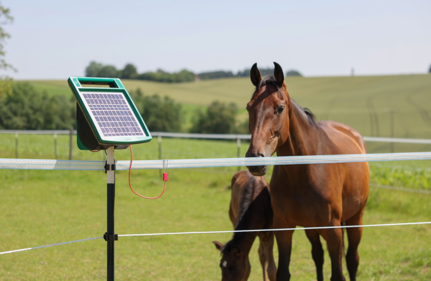 Effizientes Solargerät für Weidezäune - AKO SunPower S1000: Zuverlässige Tierbegrenzung für Landwirte und Tierhalter