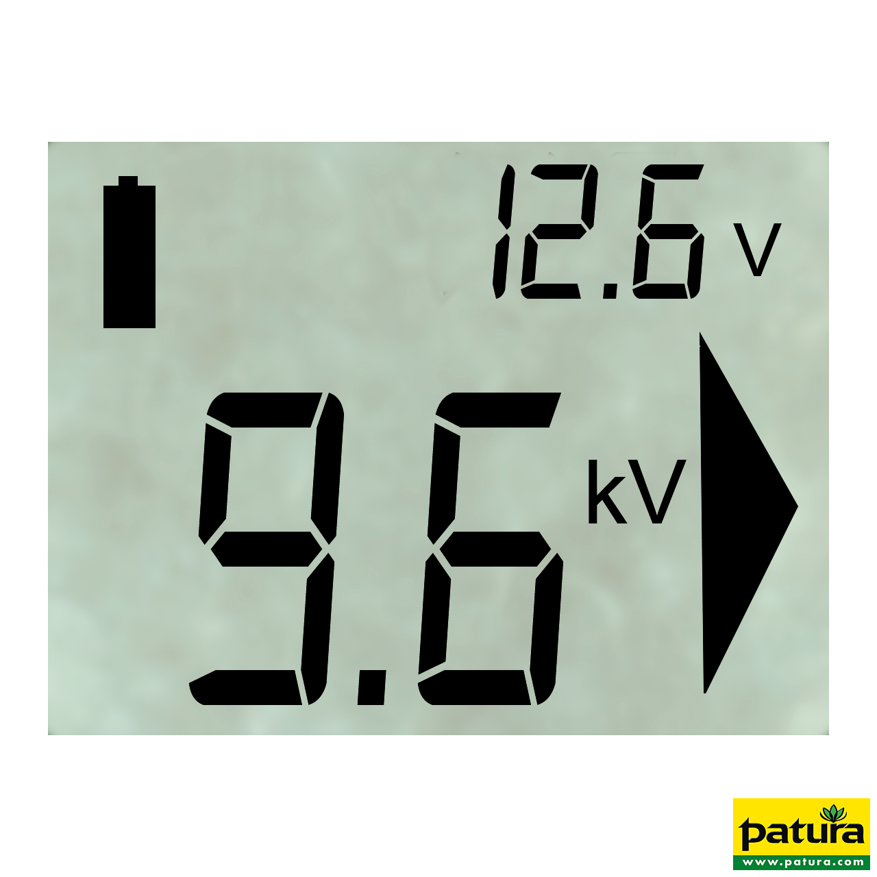 Patura P6000 Multifunktionsgerät 230V/12V MaxiPuls 15 Joule