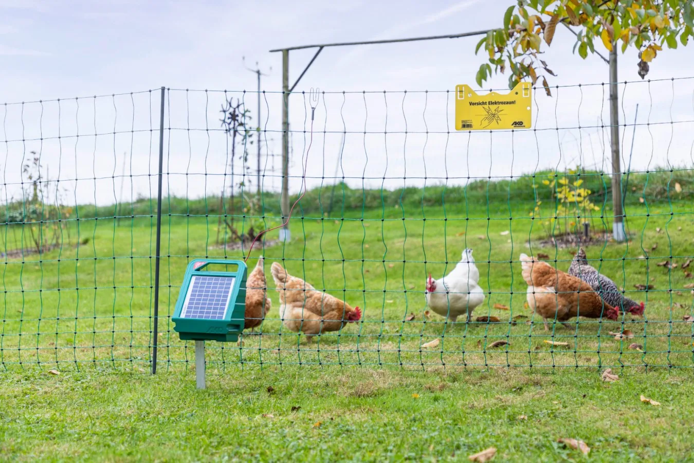 AKO-Geflügelnetz mit Solar-Weidezaungerät, Hühner im Auslauf
