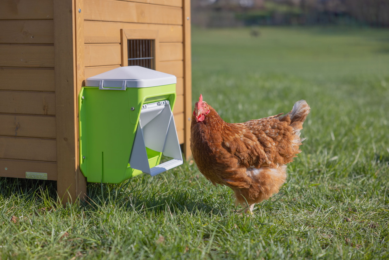 Kerbl SmartCoop Hühnerfutterautomat mit Schutzklappe Kerbl SmartCoop Hühnerfutterautomat mit Schutzklappe
