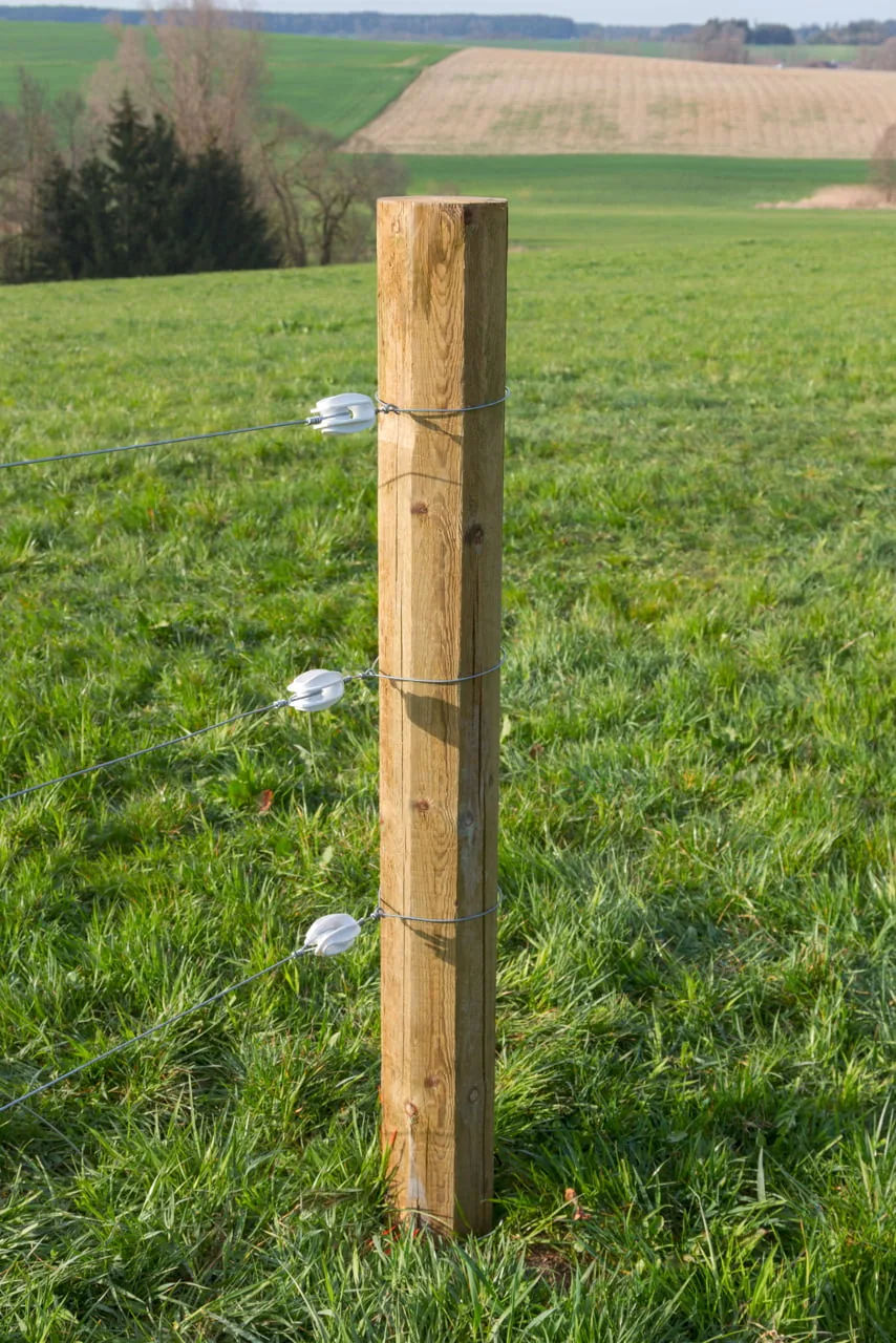 Holzpfosten mit montierten weißen Polyamid-Abspann-Isolatoren auf weiter Weide