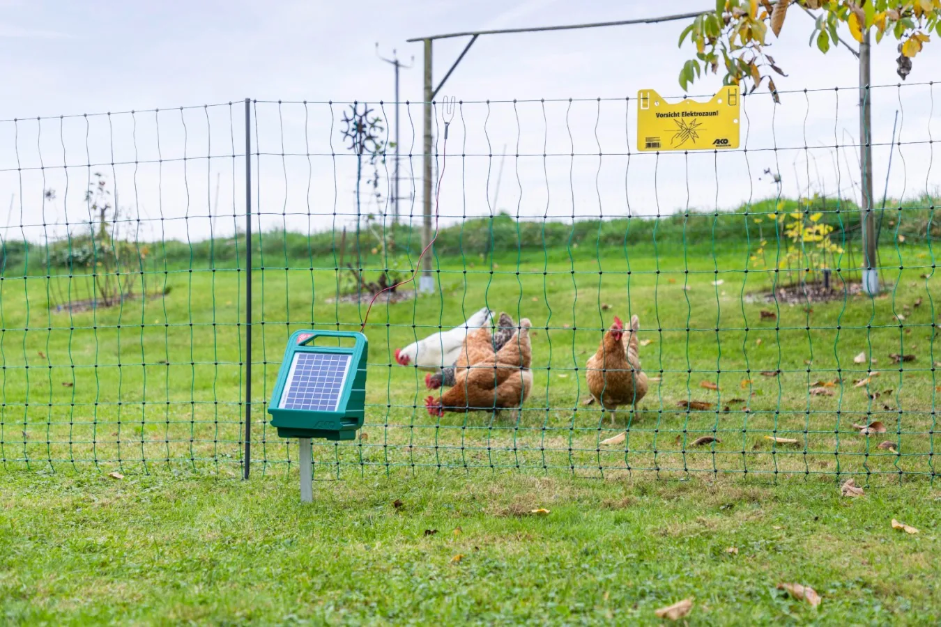 AKO-Geflügelnetz mit Solar-Weidezaungerät und Hühnern, Detailszene