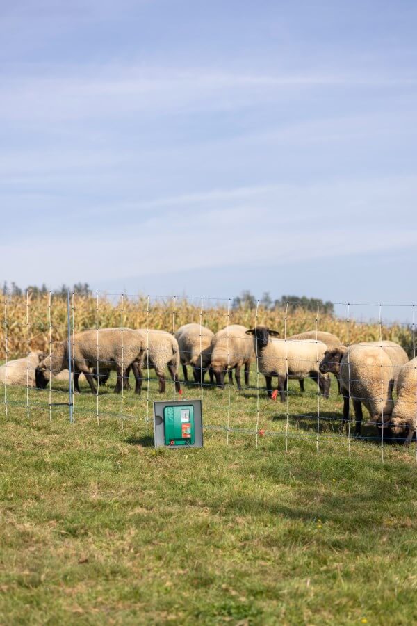 Kerbl Duo Power X 6000 smart – Effizientes und intelligentes Weidezaungerät für Landwirte und Tierhalter. Ideal für Pferde, Rinder und Schafe mit mittlerem bis starkem Bewuchs. Mit Anbindung an Cloud und App-Steuerung.