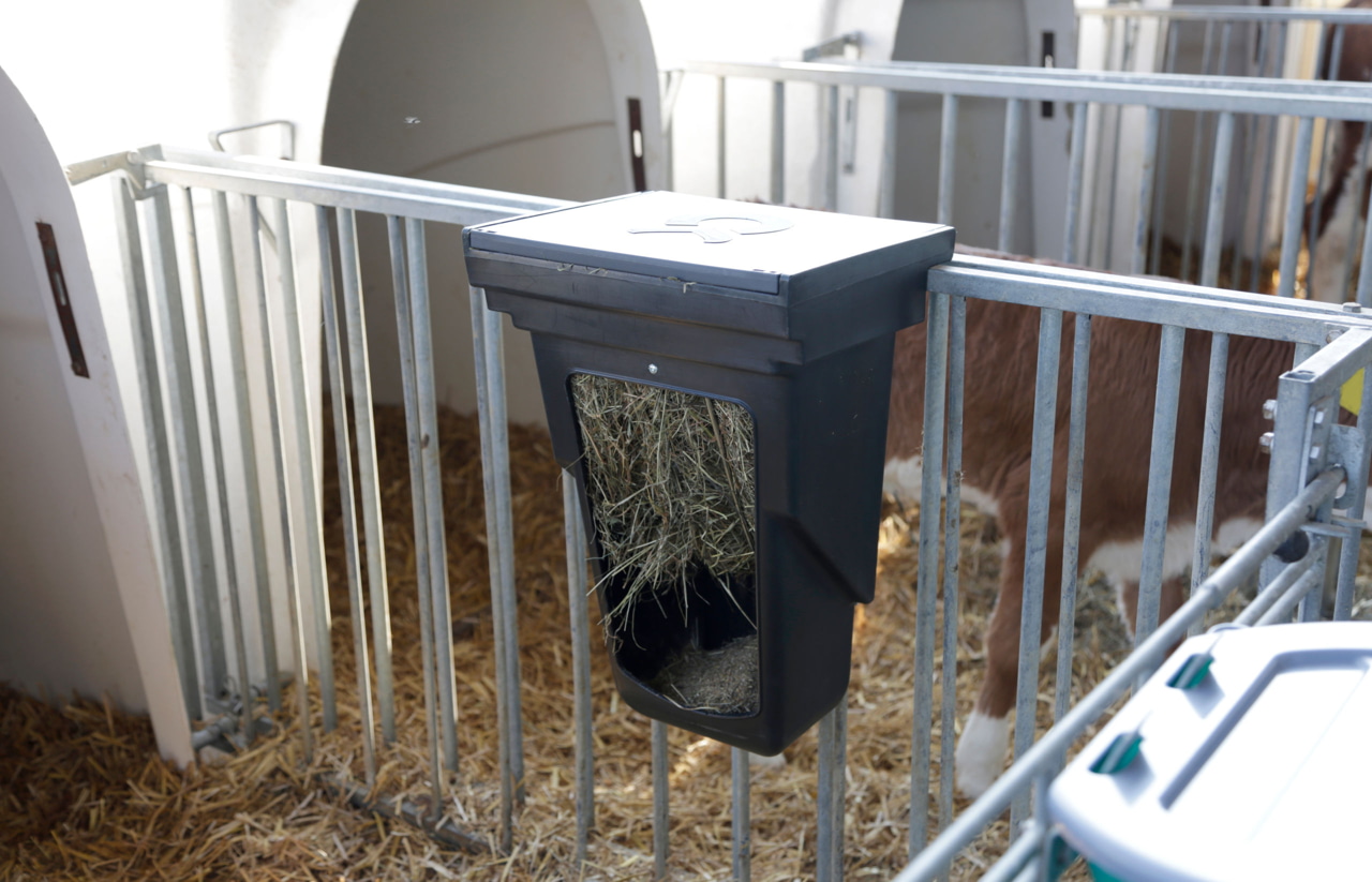 Kerbl Kombi-Futterbox klein für Kälberhüttenumzäunung - 11,5 l,ideal für Einzelkälberhütten,kombinierbar mit Rauh- und Kraftfutter