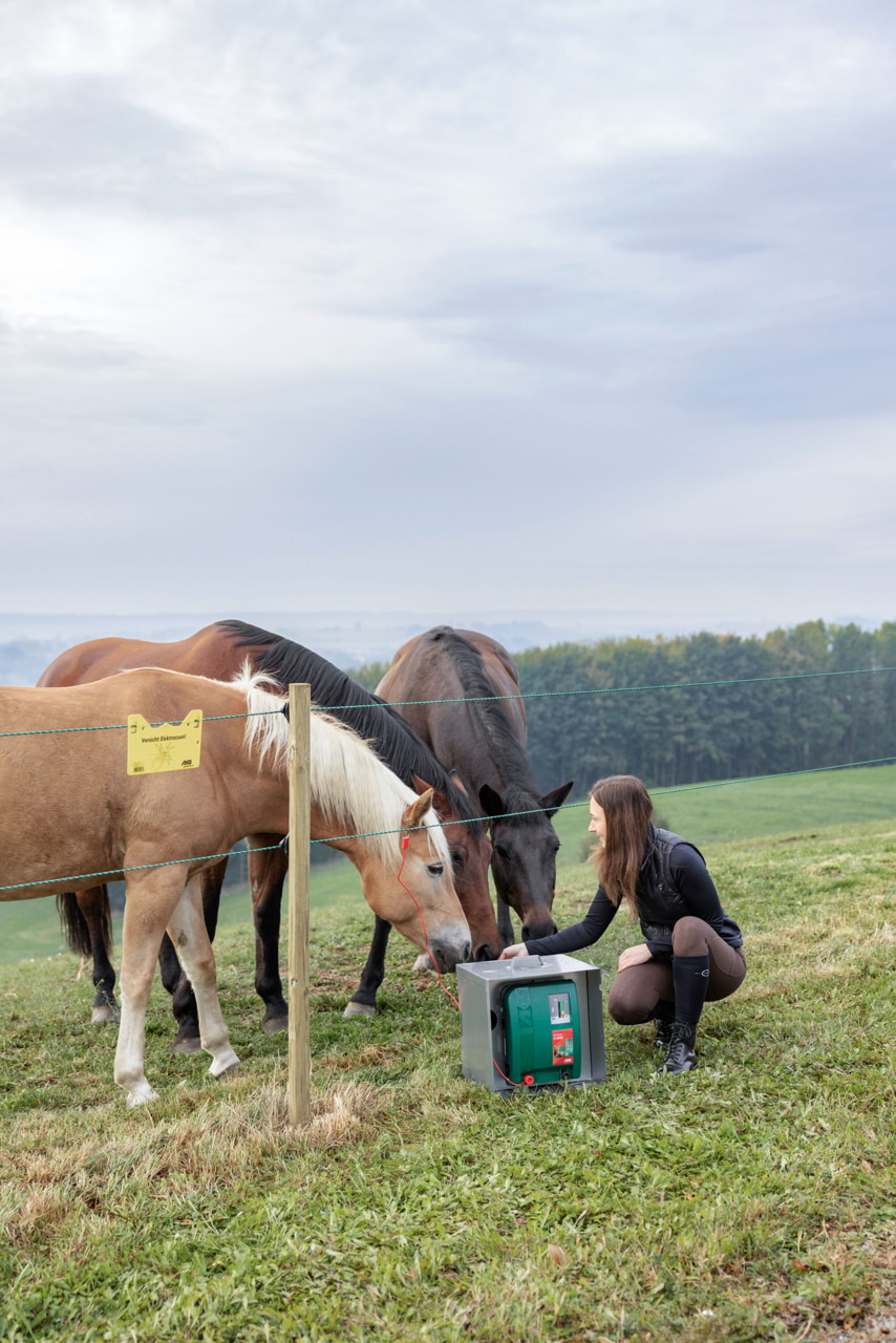 AKO Duo Power Xi 8000 Weidezaungerät von Kerbl - Leistungsstarkes und flexibles Zaungerät für Landwirte und Tierhalter, ideal für die extensive Weideüberwachung von Pferden, Bullen und Schafen sowie zur Wildschwein- und Wolfsabwehr.