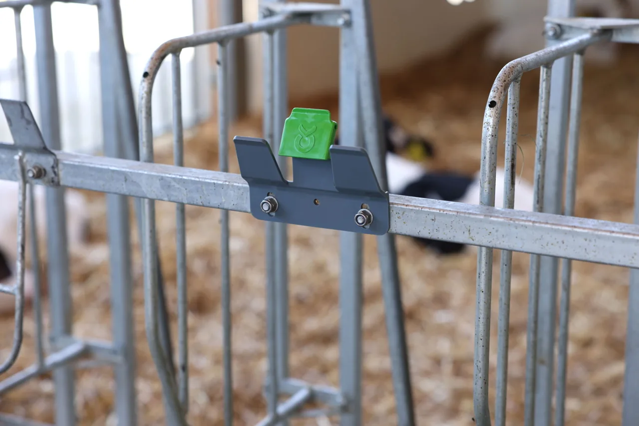 Bucket-Guard-Halter am Gitter montiert in der Detailaufnahme