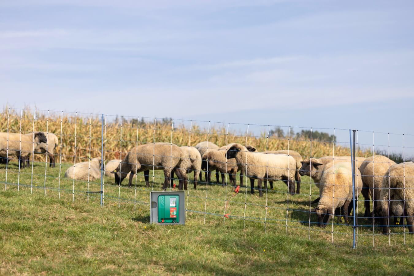 Kerbl Duo Power X 6000 smart – Effizientes und intelligentes Weidezaungerät für Landwirte und Tierhalter. Ideal für Pferde, Rinder und Schafe mit mittlerem bis starkem Bewuchs. Mit Anbindung an Cloud und App-Steuerung.