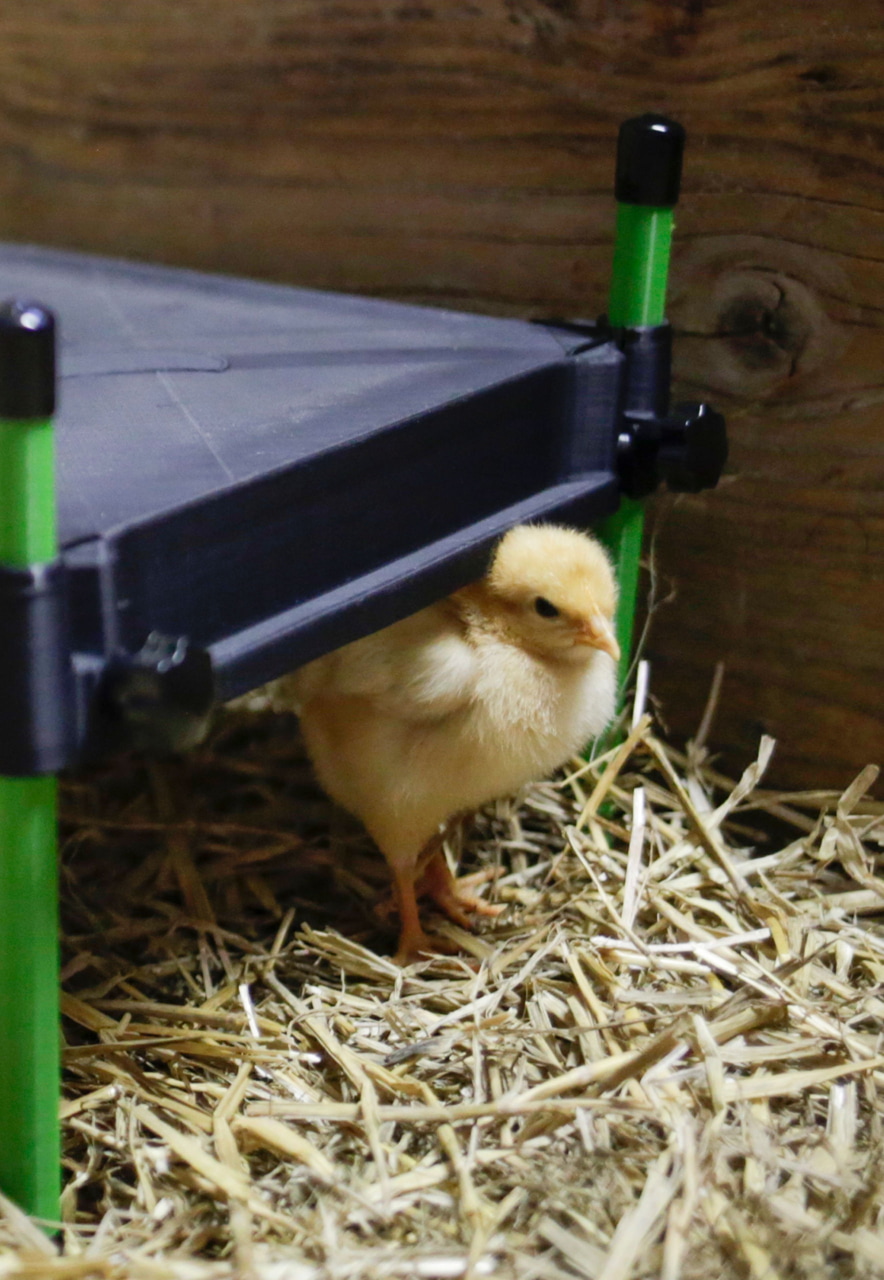 Kerbl Wärmeplatte CosyHeat 30x30 cm - Energiesparende Heizung für Küken, mit integriertem Thermostat, ideal für Landwirte und Tierhalter.