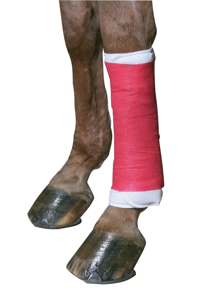 Pferdebein mit roter Kerbl EquiLastic Bandage in der Nahaufnahme
