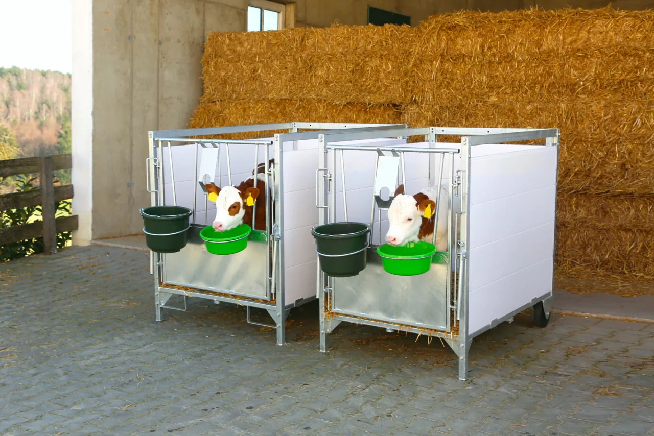 Kerbl Stall- und Baueimer Olivgrün 12 Liter 29881 an zwei Kälberboxen im Stall