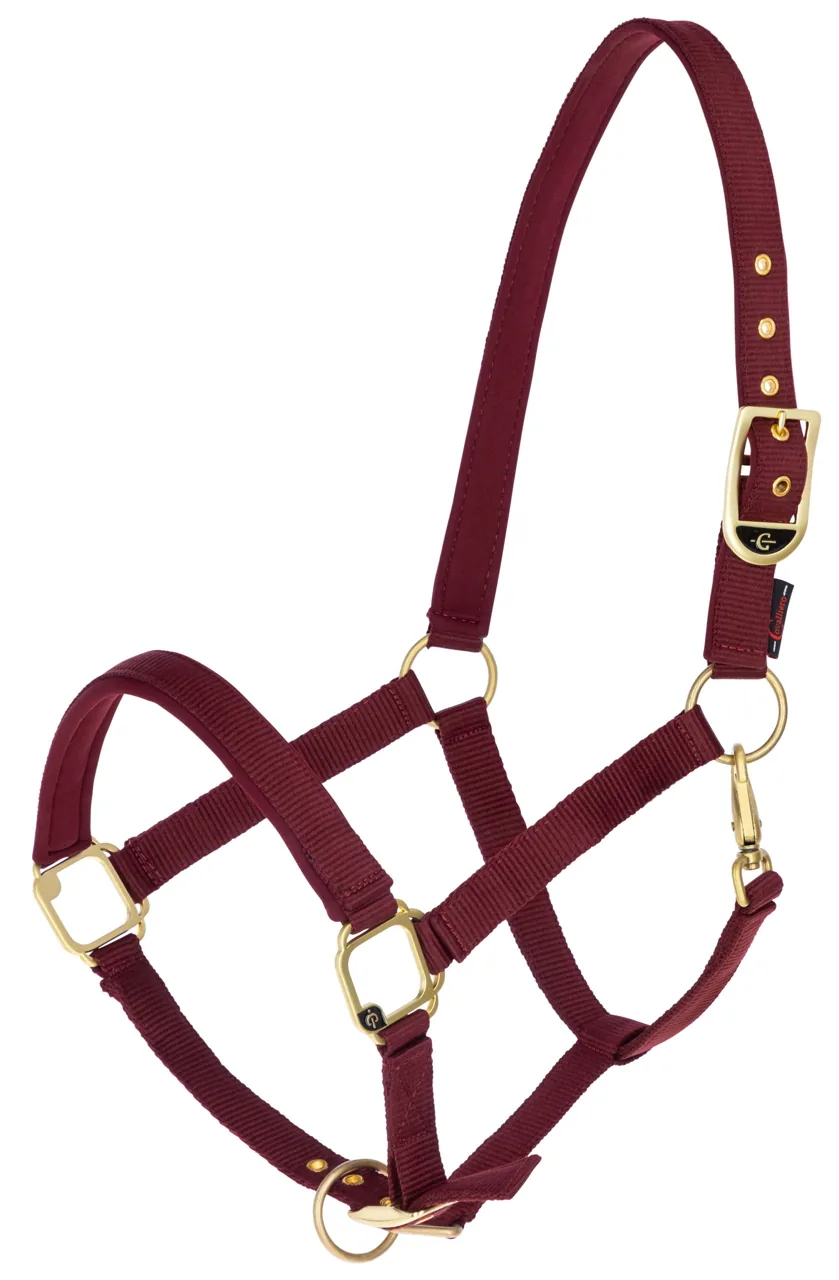 Kerbl Halfter Classy in Merlot-Rot aus Nylon mit Messingbeschlägen und Polsterung