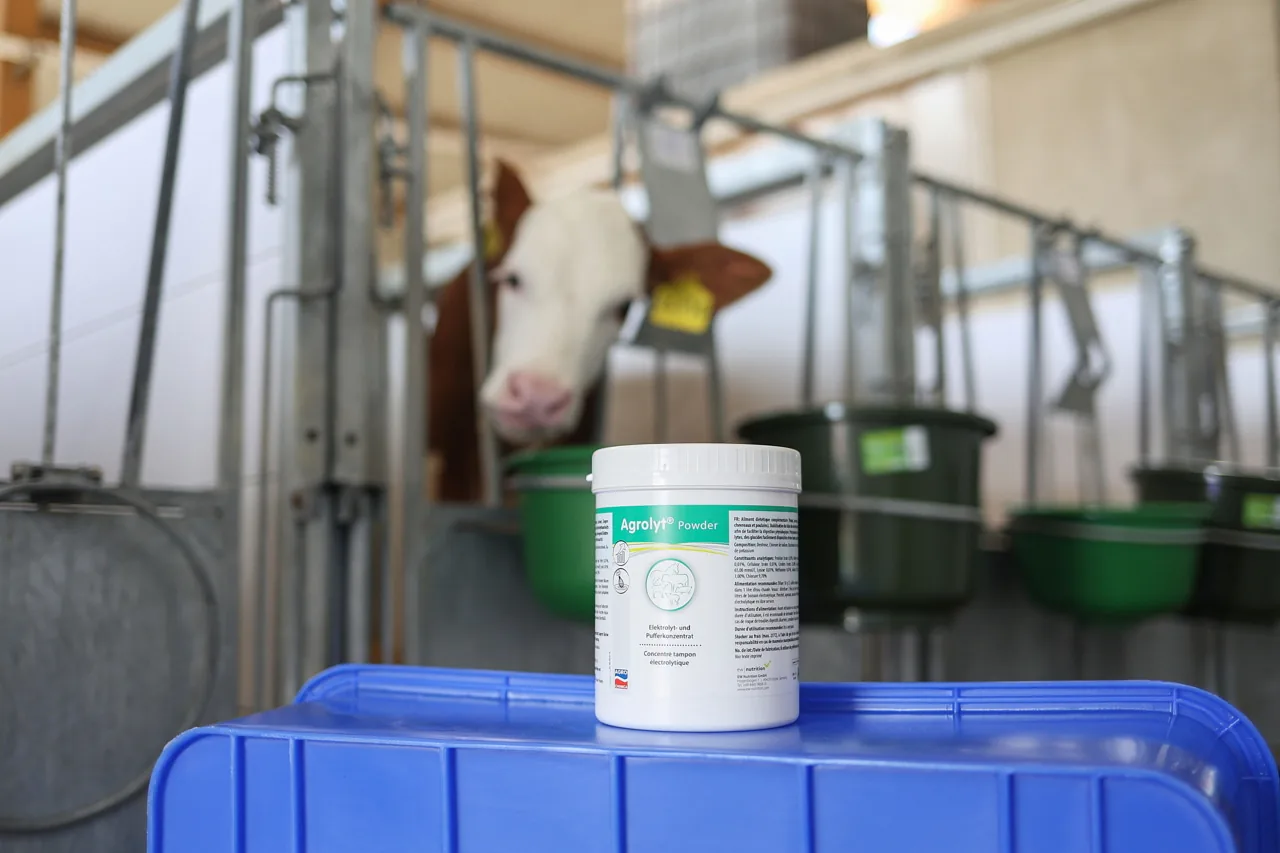 Kerbl Agrolyt Powder Elektrolytkonzentrat in der 1-kg-Dose im Stall