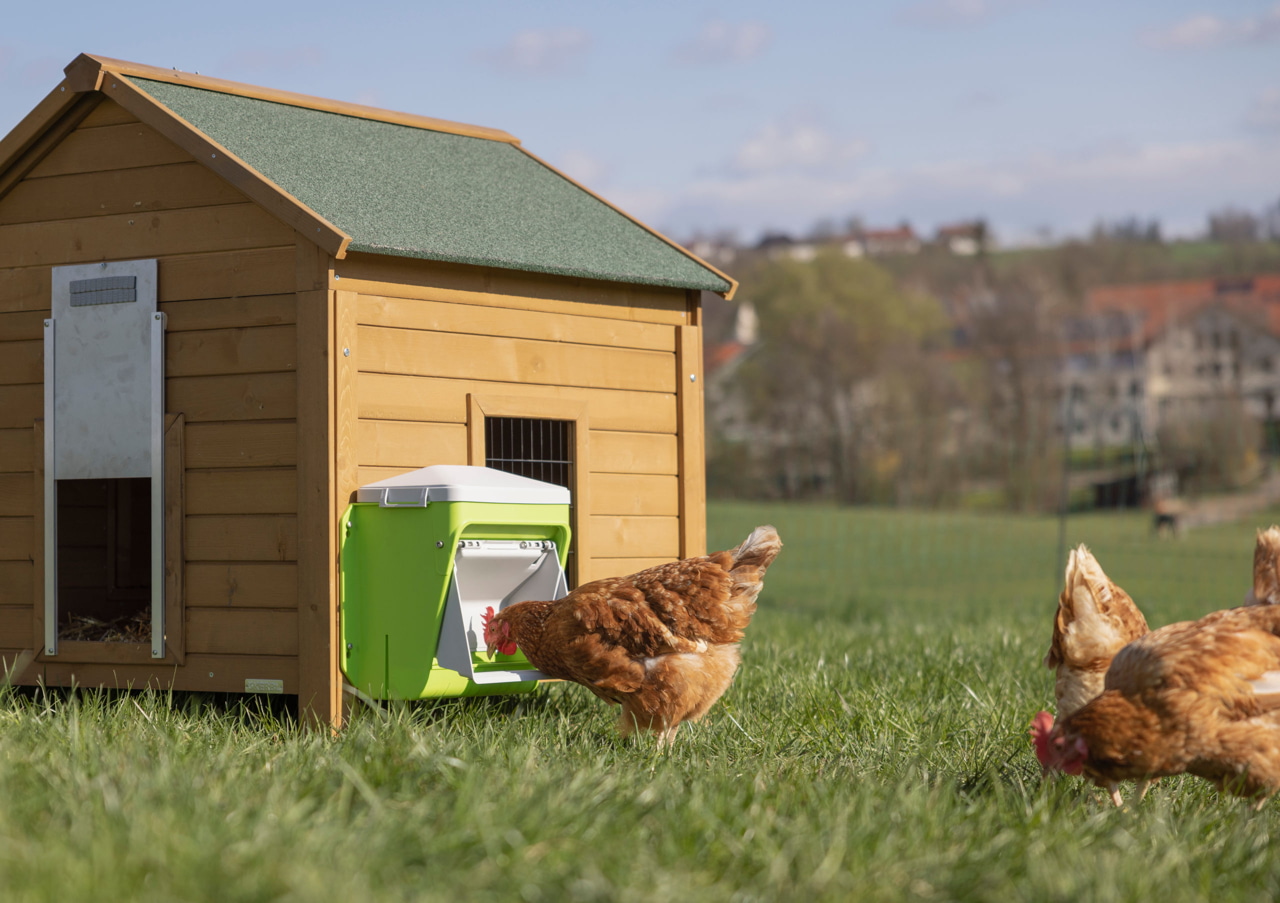 Kerbl SmartCoop Hühnerfutterautomat mit Schutzklappe Kerbl SmartCoop Hühnerfutterautomat mit Schutzklappe