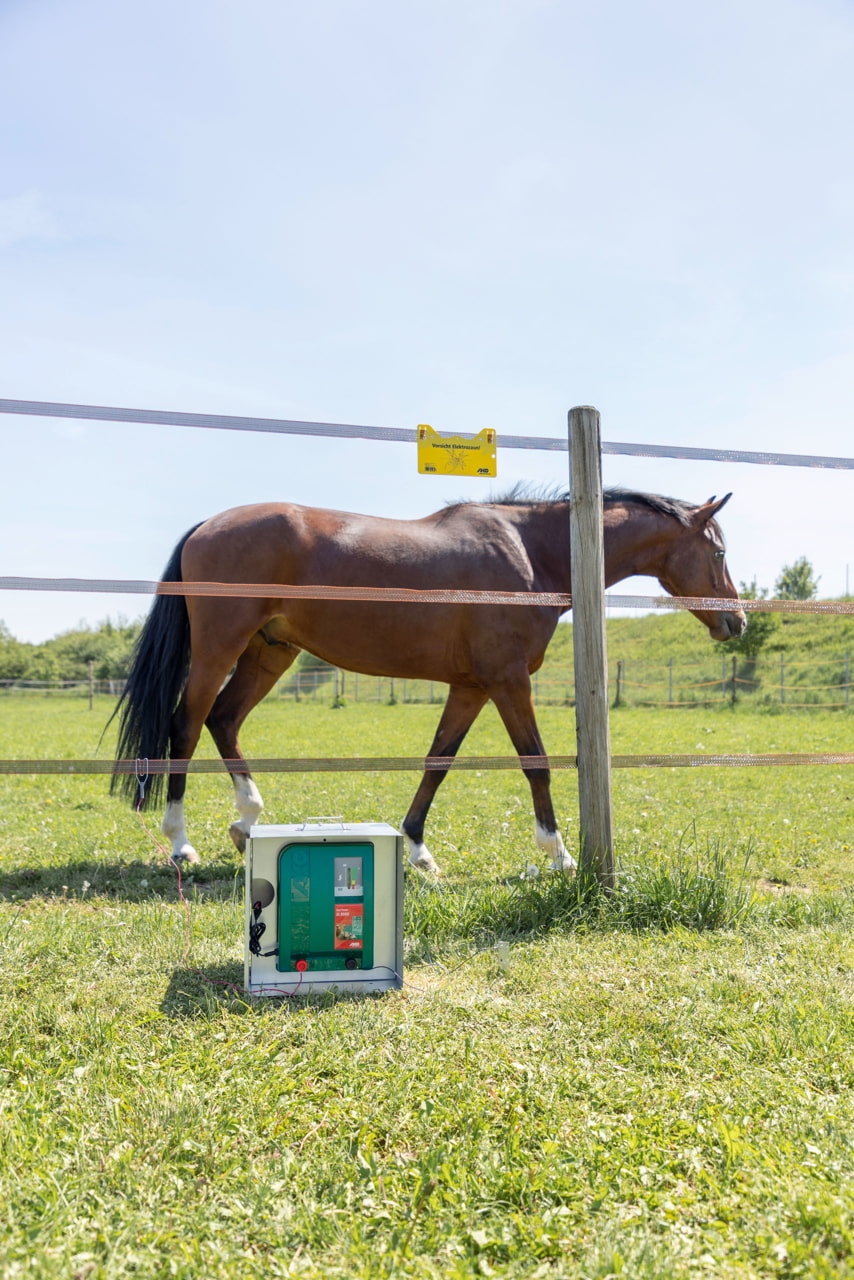 AKO Duo Power Xi 8000 Weidezaungerät von Kerbl - Leistungsstarkes und flexibles Zaungerät für Landwirte und Tierhalter, ideal für die extensive Weideüberwachung von Pferden, Bullen und Schafen sowie zur Wildschwein- und Wolfsabwehr.