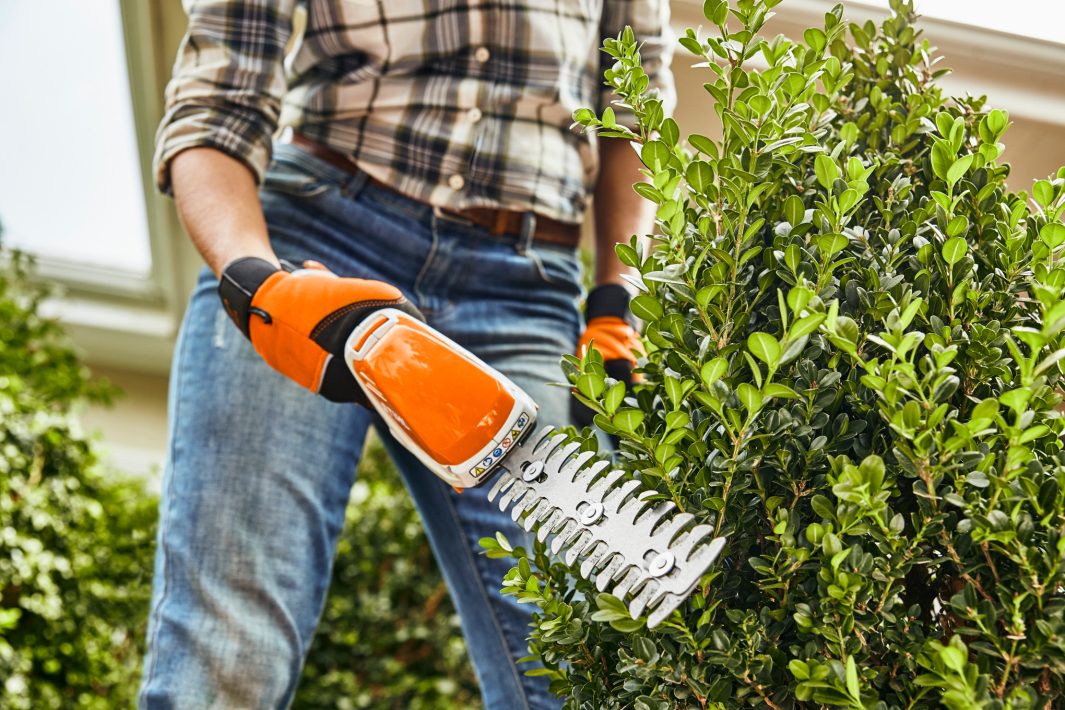 STIHL HSA 26 Akku Heckenschere Set - Leise, Handlich, 110 Min Laufzeit STIHL HSA 26 Akku Heckenschere Set - Leise, Handlich, 110 Min Laufzeit