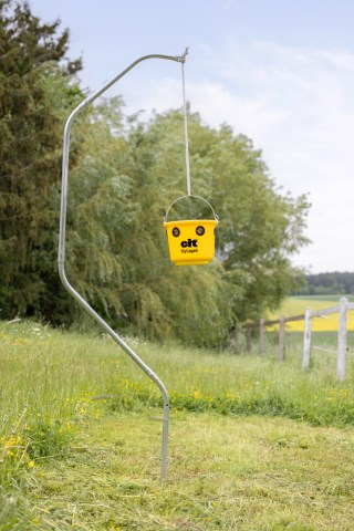 cit Fliegenfalle FlyCage6