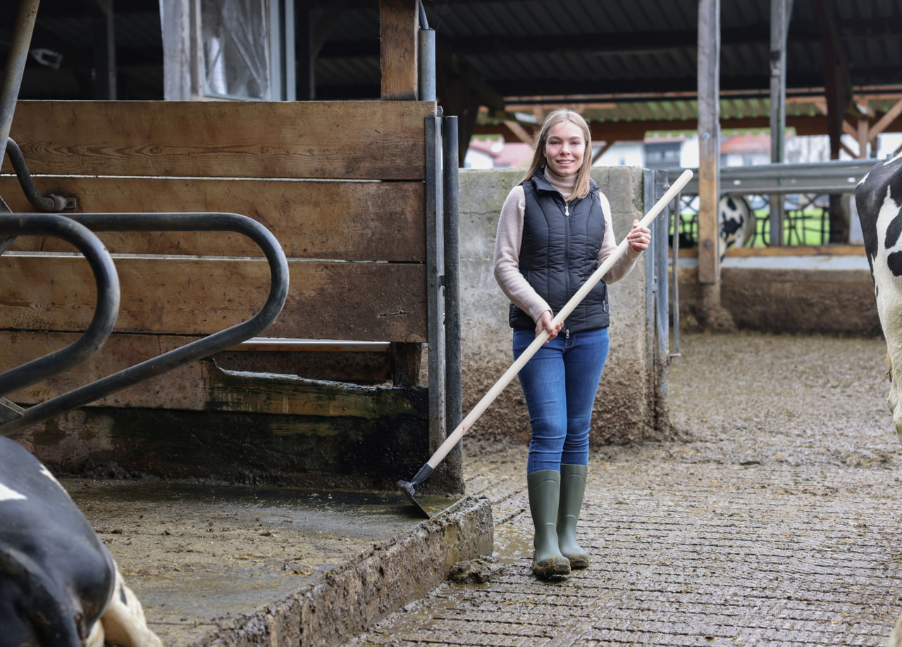 Kerbl Kotkrücke Geschmiedet 35cm - für Stallhygiene im Landwirtschaftsbedarf