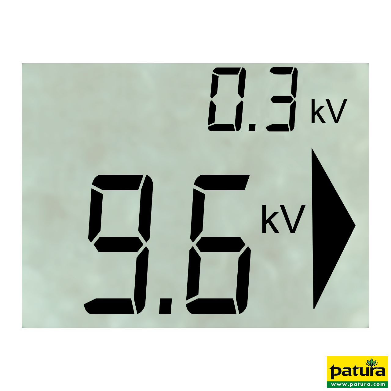 Patura P6000 Multifunktionsgerät 230V/12V MaxiPuls 15 Joule